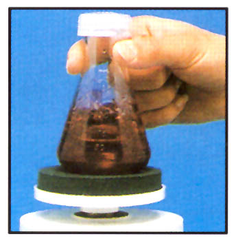 J-MF flask pad-01.jpg